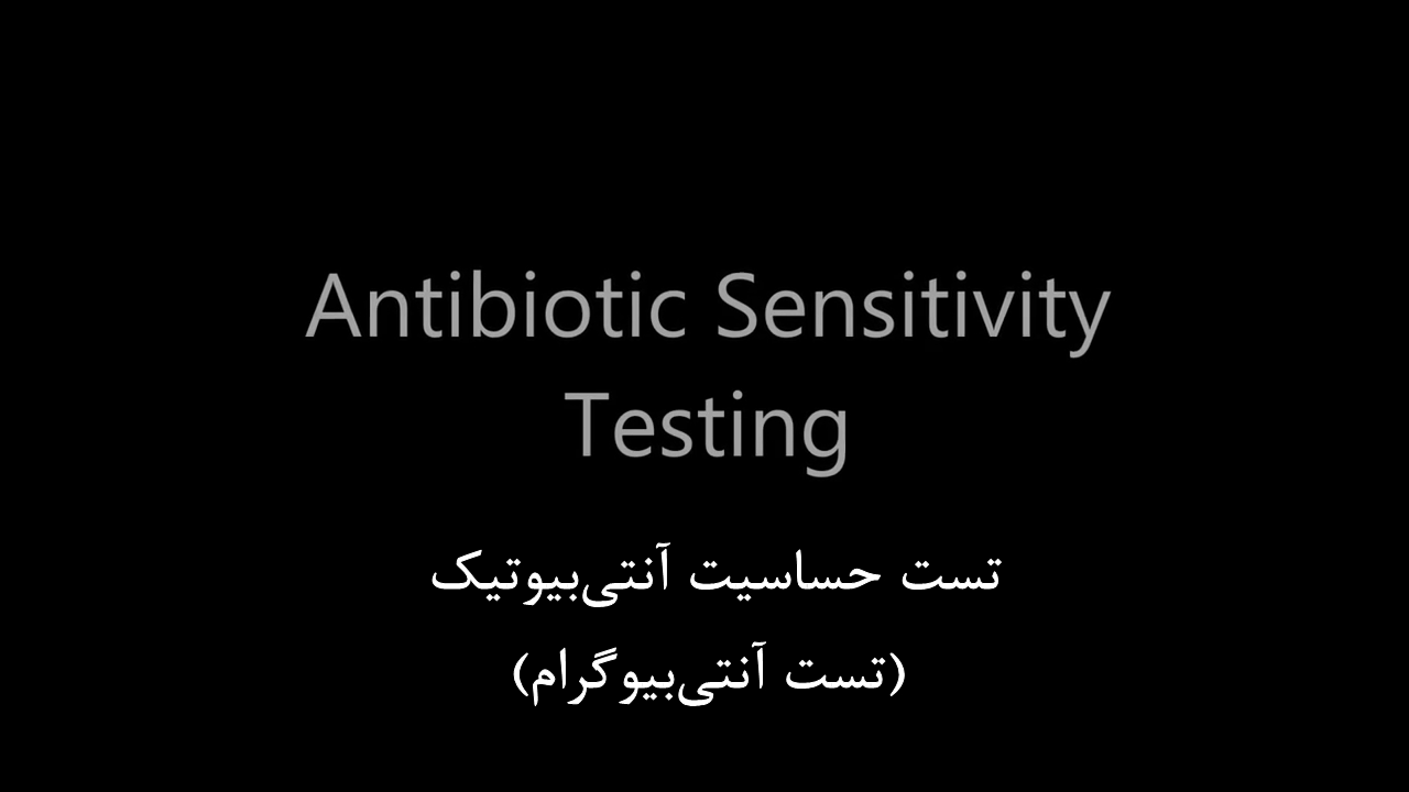 تست حساسیت آنتی بیوتیک (دیسک دیفیوژن)