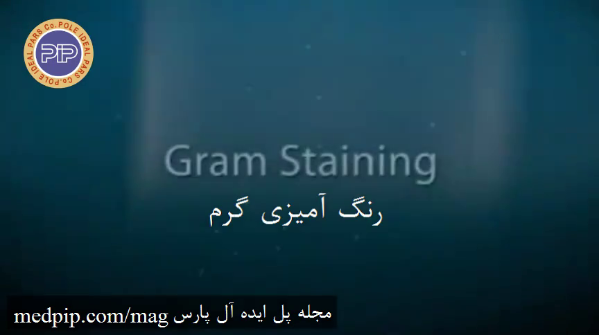 رنگ‌آمیزی گرم